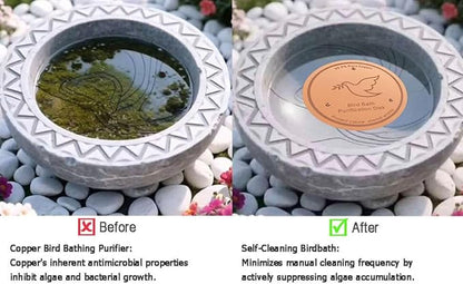 2Pack Bird Bath Copper Purification Disk | 0.6mm Reinforced 99.9% Pure Copper | Universal Fit for Outdoor Birdbaths(Birdbath Copper 2 Pack)