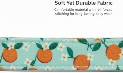 Dog Collar, Spring Summer Dog Collar with Orange Print and Charm, Cute Spring Summer Fruit Collar with Soft & Breathable Fabric, Adjustable Pet Collar for Medium Dogs