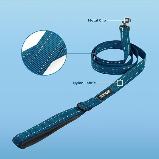 Best Pet Supplies Voyager Reflective Dog Leash or Collar with Neoprene Handle, for Small, Medium, and Large Breed Puppies, Cute and Heavy Duty for Walking, Running and Training - Blue (Leash), L