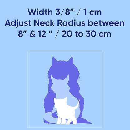 Pawtitas Glow in The Dark Cat Collar with Breakaway Safety Buckle & Bell Adjustable Kitten Collar, Set of 2 GID Teal/Orange