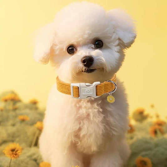 Cute Corduroy Dog Collar - Mustard Yellow Adjustable Dog Collars for X-Small Dogs 4-10lbs, Fade-Proof with Secure Snap & Little Charm, Christmas Birthday Gift, XS