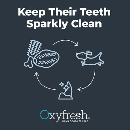 Oxyfresh Dog Dental Chew Toy - Best Dog Teeth Cleaning Toy – A Simple Bite and Brush Toy That Helps Remove Plaque, Cleans Teeth & Freshens Breath Without Brushing - Large