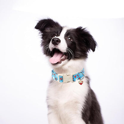 Valentines Dog Collar, Blue Heart Dog Collar, Cute Loving Heart Printed Collar with Quick Release Plastic Buckle for Boys&Girls Dogs, X-Large