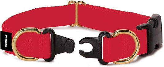 PetSafe KeepSafe Collar for Dogs - Protects Against Collar Accidents - Long Lasting - Durable - Adjustable - Breakaway - Outdoor-Safe - Large - 1 In. Wide - Red