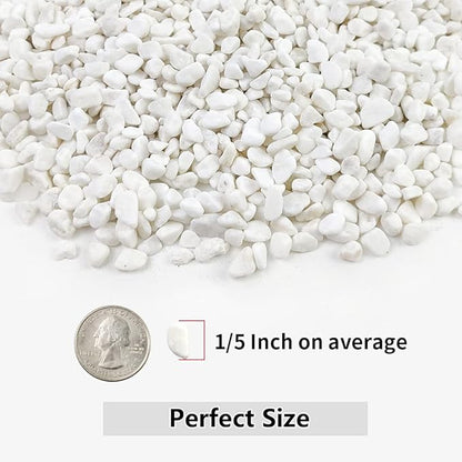 5LB Succulent and Cactus Gravel Pebbles, 1/5 Inch White Natural Decorative Polished Stones, River Rocks for Plants, Vases, Aquariums, Terrarium and Outdoor Gardening
