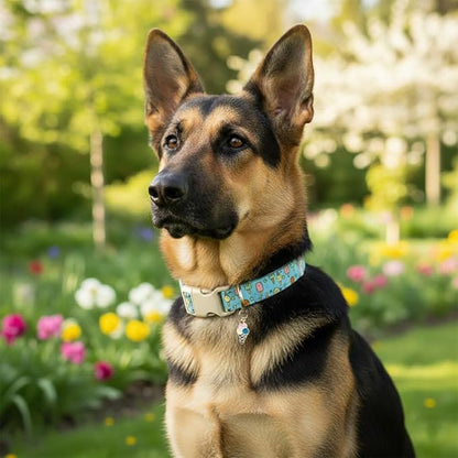 Cute Dog Collar, Girl Boy Dog Collar for Medium Dogs, Blue Collar with Ice Cream Print for Spring Summer, Adjustable Pet Collar Made of Soft Durable Fabric and Robust Buckle, M