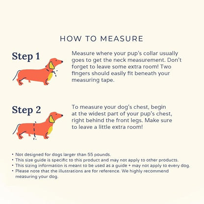 Lucy & Co. Cute Reversible Dog Harness Walking Halter - Best Designer Pet Harnesses for XS - XL Dogs - Padded Adjustable Vest for Easy Walking - Small - White with Blue Bows