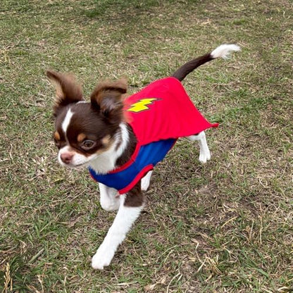 Mighty Supa Man Pet Halloween Costume with Cape - Small to Medium-Large Breed Funny Clothes Outfit Apparel (Small) - Image 3