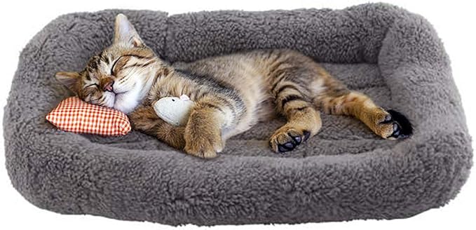 Enjoying Cat Mat Bed 10" x 15" Pet Bed with Pillow Around for Puppy Kitten Curled Sleeping Beds for Carrier/Crate Small Dog Cushion, Anti Skid Bottom, Small