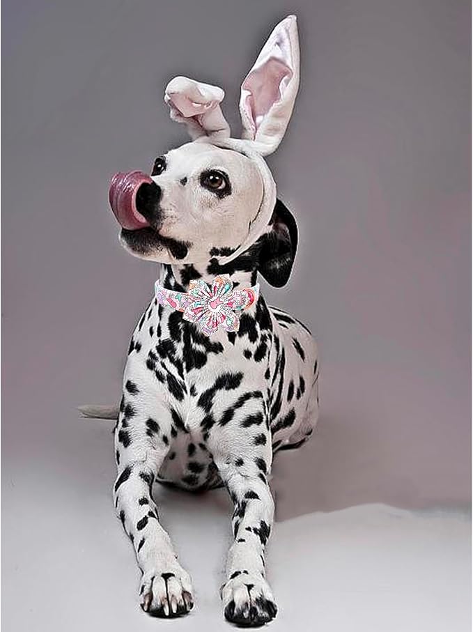 Lionheart glory Easter Day Dog Collar with Flower Dog Collar for Medium Dogs, Rabbits Colorful Dogs Collars Flowers Spring Collars Puppy Flowers