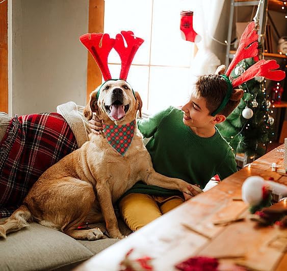Lionet Paws Cotton Christmas Dog Bandanas,Red Green Grid Comfortable Dog Bandana Bibs Scarf Dogs Kerchief,Autumn Scarves for Small Medium Dogs Pets