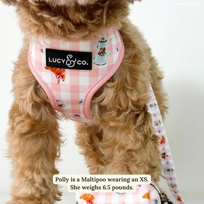 Lucy & Co. Sipping Slowly Reversible Dog Harness, Adjustable Comfort Fit with Dual Leash Attachments, Large