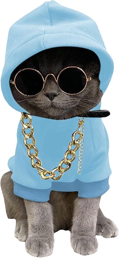 QWINEE 3Pcs Dog Hoodie Cat Apparel Dog Custume Set with Necklace and Sunglasses Pet Clothes for Puppy Small Medium Dogs Cats Light Blue Small