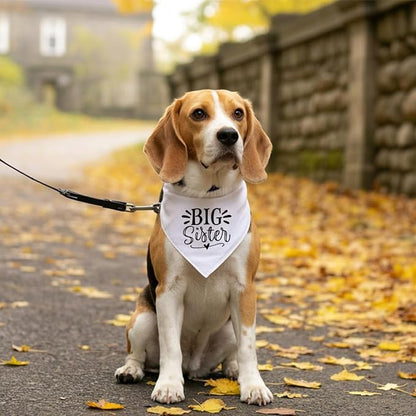 Big Sister Dog Bandana, White Dog Scarf Accessories, Pet Triangle Scarf, Pet Bandana for Small Medium Dogs, Baby Announcement Dogs Bandanas (M)