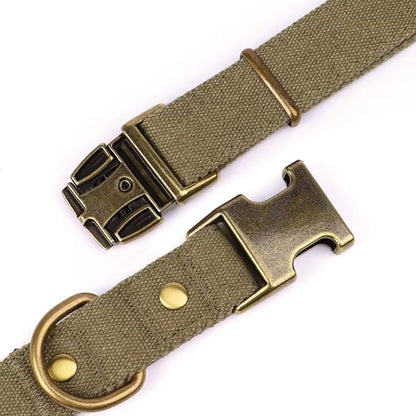 PET ARTIST Dog Collars for Small Dogs, Soft Padded Premium Nylon Dog Collar with Quick Release Metal Buckle, Durable & Adjustable Pet Collars for Boy Gifts, Green, S (Fit 10-16")