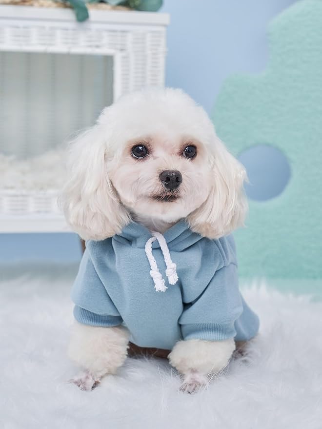 QWINEE Basic Dog Hoodie Sweatshirt Puppy Sweater Warm Cat Costumes Pet Clothes for Chihuahua Puppy Kitten Small Medium Dogs Multicolored X-Small