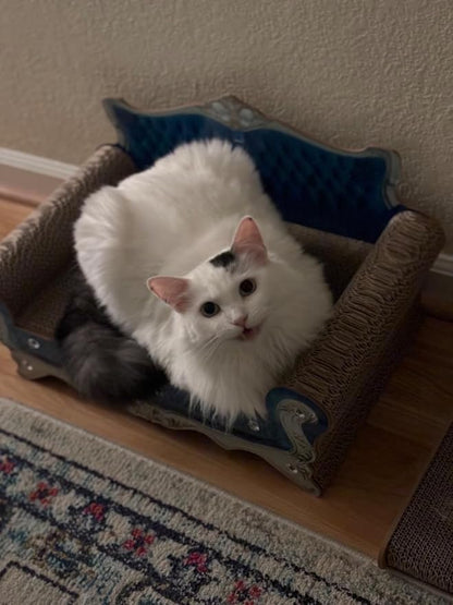 Luxury Cardboard Cat Scratcher Sofa Bed, Couch Shaped Cat Scratching Board, Scratch Lounge with Catnip, Scratcher for Indoor Cats Kittens Kitties