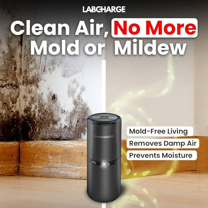 LabCharge Compact Air Purifier - Covers 250 Sq Ft - Ideal for Bedroom or Dorm Room - Silent HEPA Filter Captures Dust and Pollutants - Portable, Mini Air Purifier for Small Spaces