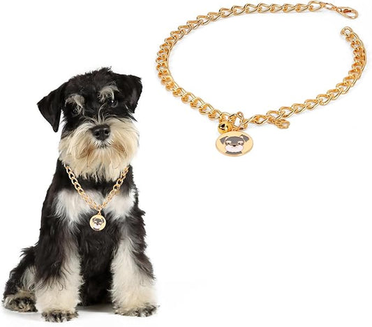 HOWWFALY Dog Collar and Cat Chain Necklace Stainless Steel Adjustable 18K Gold Heart-Shaped Necklace for Small Pets Cats Kitten Puppy (Gold, 14 inch)