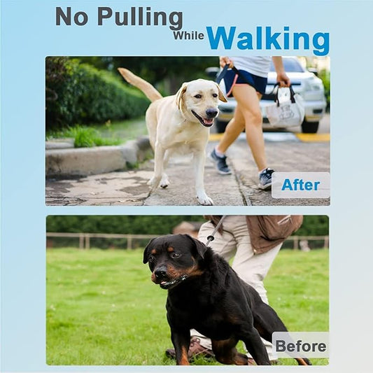 Prong Collar for Dogs, Dog Training Collar, Adjustable Size Dog Pinch No Pull Collar with Quick Release Buckle for Small Medium Large Dogs(Packed with Two Extra Links)