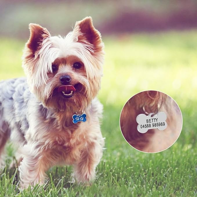 Personalized Dog Cute Paw Pet ID Tag for Pet Collar or Key Chain - Dog Name tag, cat Tags Personalized, cat id tag, Kitten Name tag, Kitten id tag (Bone-Shaped-Small: Red)