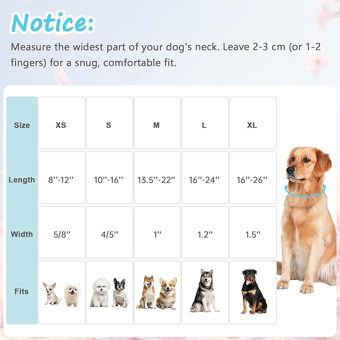 Cotton Collar for Dog，Soft Adjustable Dog Collars for Extral Small Dogs, Cute Dog Collar with Blue & White Plaid for Small Medium Large Dogs, Perfect for Girl or Boy Dog Collars-XS