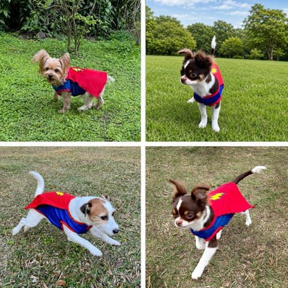 Mighty Supa Man Pet Halloween Costume with Cape - Medium Breed Dog Funny Clothes Outfit Apparel (X-Large) - Image 5