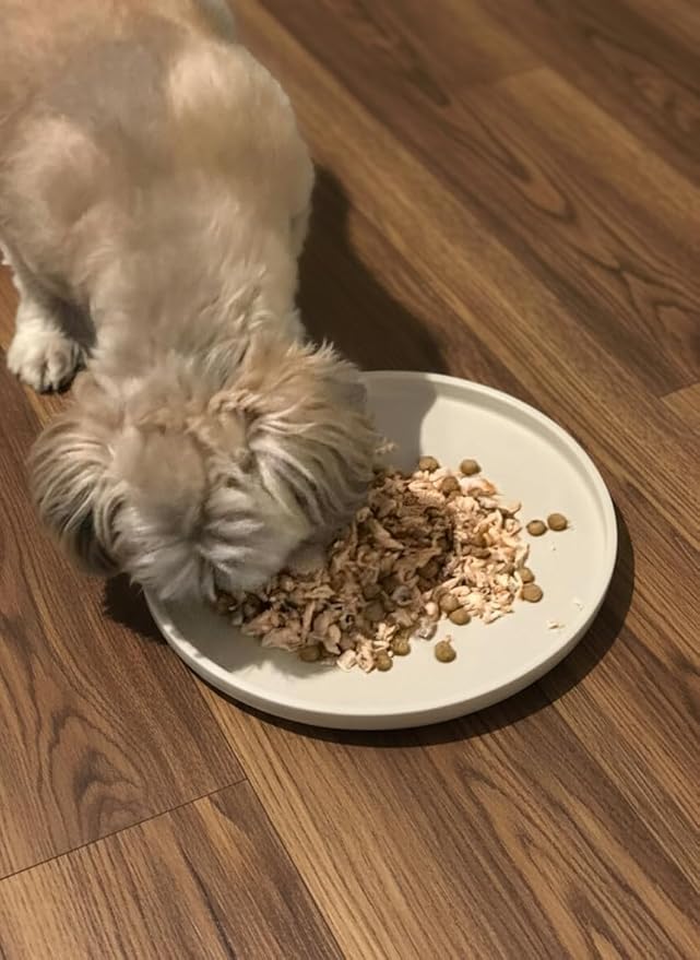 Arespark Dog Food Mat, Nonslip Waterproof Dog Silicone Feeding Bowl Mat with Raised Edges for Floors Prevent Spills, Round Eating Plate Puppy Supplies 10inch (Off White, 2 Pack)