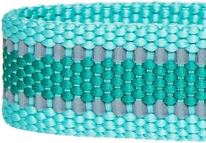 Blueberry Pet Essentials Reflective Adjustable Safety Nylon Dog Collars Medium Size | Reflective Minty Green Dog Collar for Girl and Boy Dogs