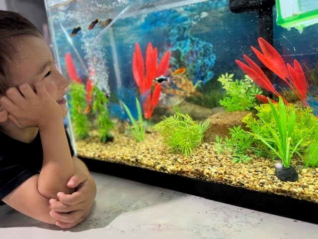 Aquarium Stone for Natural Water Clarification and Odor Removal Featuring Beneficial Bacteria (Nano)