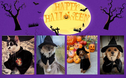Hooded Cloak Witch/Wizard Costume for Medium Pets, Dog Halloween Costume Hat Cape, Black Dog Witch Costumes - Image 5