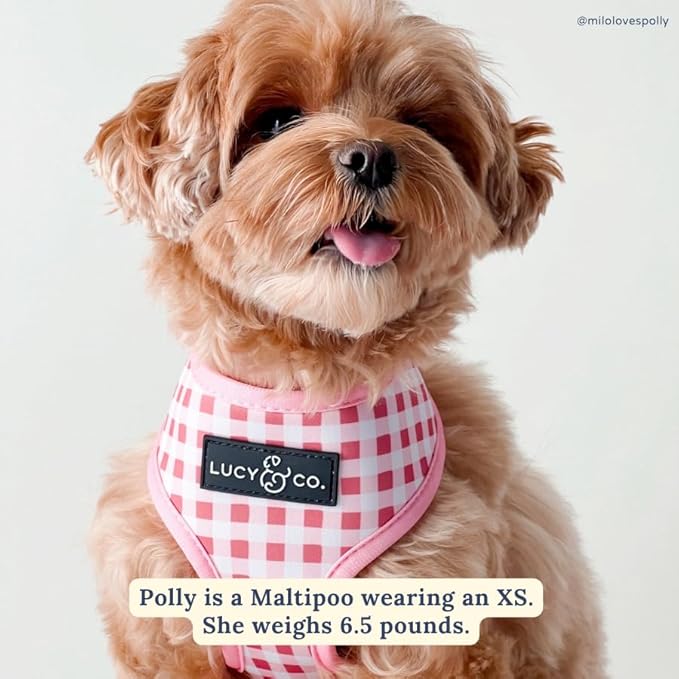 Lucy & Co. Cute Reversible Dog Harness Walking Halter - Best Designer Pet Harnesses for XS - XL Dogs - Padded Adjustable Vest for Easy Walking (X-Small, Ballet Bows - White & Pink Bows)