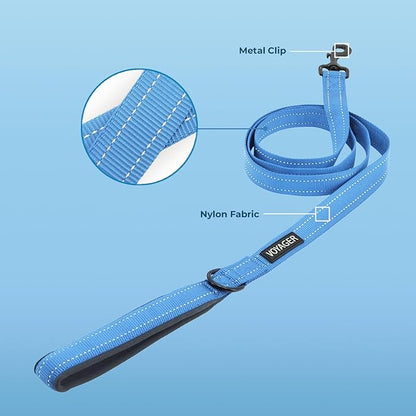 Best Pet Supplies Voyager Reflective Dog Leash or Collar with Neoprene Handle, for Small, Medium, and Large Breed Puppies, Cute and Heavy Duty for Walking, Running and Training - Baby Blue (Leash), M