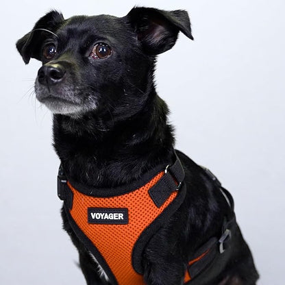 Voyager Step-in Pet Harness - All Weather Mesh, Adjustable Step in Harness for Cats and Dogs by Best Pet Supplies - Orange/Black Trim, XS