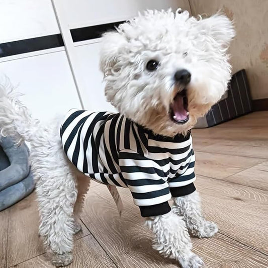 Autumn Dog Sweater with Leash Ring Warm Striped Puppy Shirt for Small Dog Girl Boy Cat Sweater Winter Pet Clothes Pomeranian Chihuahua Cold Weather Coat (Black, X-Small)