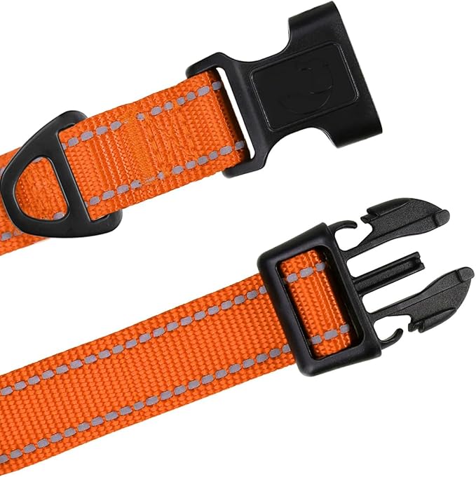 TagME Reflective Nylon Dog Collars, Adjustable Classic Pet Collar with Quick Release Buckle for Small Dogs, Orange, 3/4" Width