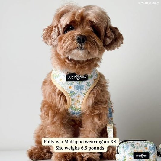 Lucy & Co. Sunshine and Daffodils Reversible Dog Harness, Adjustable Comfort Fit with Dual Leash Attachments, X-Small