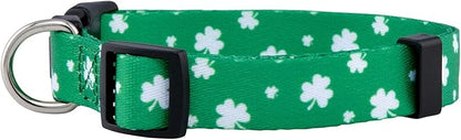 Native Pup St Patricks Dog Collar- Saint Patrick Green Shamrock Pet Collars- St. Patrick’s Lucky Irish- Cute Boy Girl Puppy Gift- Adjustable for Small, Medium, Large Breeds (Lucky Shamrock, Small)