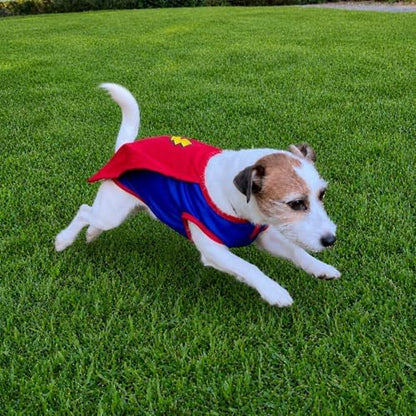 Mighty Supa Man Pet Halloween Costume with Cape - Small to Medium-Large Breed Funny Clothes Outfit Apparel (Small) - Image 4