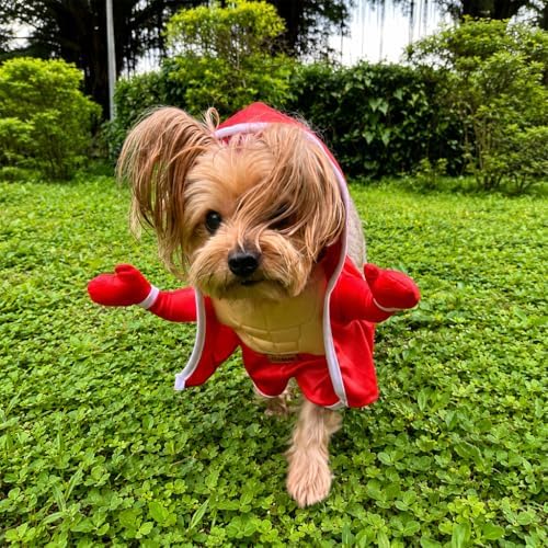 Muscular Boxer Pet Halloween Costume with Hooded Robe - Small to Medium-Large Breed Funny Clothes Outfit Apparel (Small) by POPERIE