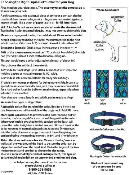 LupinePet Originals 1" Jelly Roll 12-20" Adjustable Collar for Medium and Larger Dogs