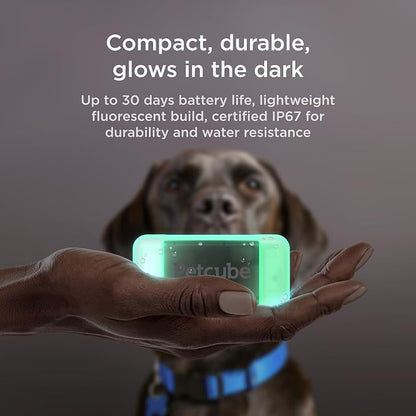 Petcube GPS Tracker for Dogs – Real-Time Location Tracking, Escape Alerts & Virtual Fences, Activity & Wellness Monitoring, Glow-in-The-Dark, Water & Dust Resistant