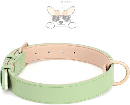 WHIPPY Leather Dog Collar for Small Medium Large Dog Adjustable Soft Breathable Leather Padded Puppy Collar with Alloy Buckle Heavy Duty Waterproof Classic Dog Pet Collar,Green,S