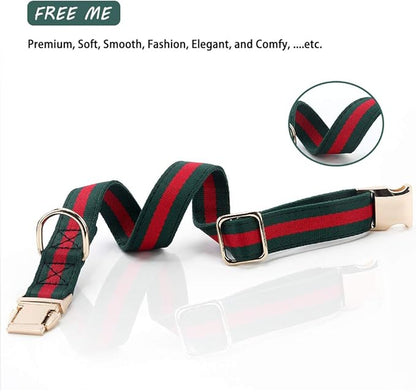 Premium Dog Collar, Cute Dog Collars Luxury Style, Durable Pet Collars with Metal Buckle Safety for Puppy Small Dogs