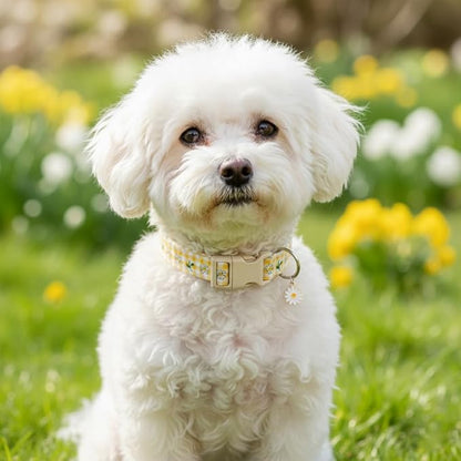 Cute Dog Collar, Yellow Plaid Dog Collar with White Floral Pattern, Spring Summer Design Floral Collar for Girls Boys Large Dogs