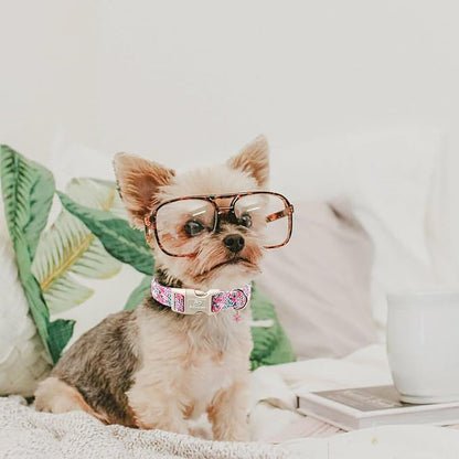 Floral Dog Collar, Cute Girl Dog Collars - Pastel Wildflowers Pattern Spring Summer Puppy Collar, Adjustable Female Dog Collars for Small Medium Large Dogs XS