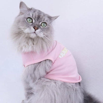 Custom Dog Shirt,Personalized Pet Apparel with Name Text Photo Image,Lightweight Breathable Puppy Kitten Cotton Vest for Small Medium Large Dogs Cats,Puppy Gift (Pink, 6X-Large)