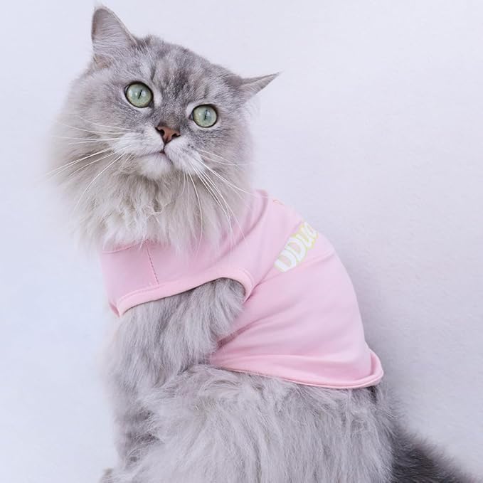 Custom Dog Shirt,Personalized Pet Apparel with Name Text Photo Image,Lightweight Breathable Puppy Kitten Cotton Vest for Small Medium Large Dogs Cats,Puppy Gift (Blue, Small)