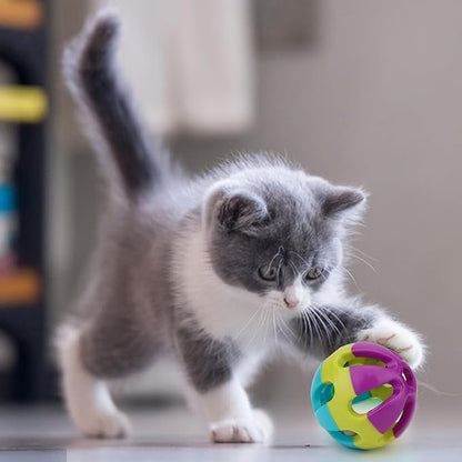 Hypeety Pet Parrot Toy Plastic Colorful Birds Ball with 1 Bell for Budgie African Grey Cockatoo Cockatiel Sun Conures 1 Ball