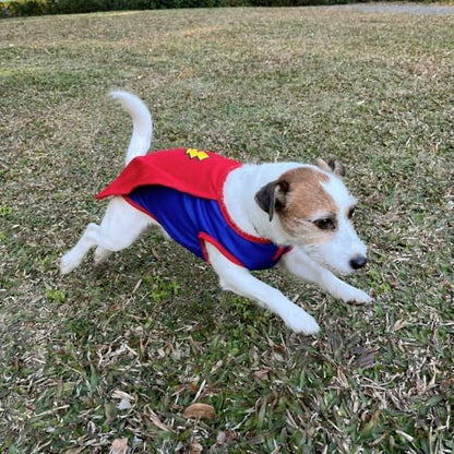 Mighty Supa Man Pet Halloween Costume with Cape - Medium Breed Dog Funny Clothes Outfit Apparel (X-Large) - Image 4